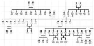 Tesina: Il genogramma e l'albero genealogico